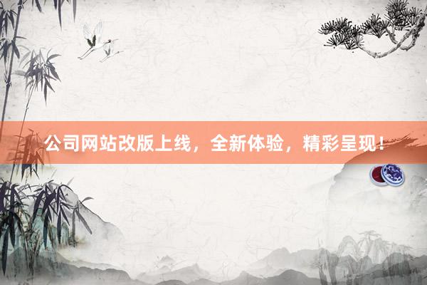 公司网站改版上线，全新体验，精彩呈现！