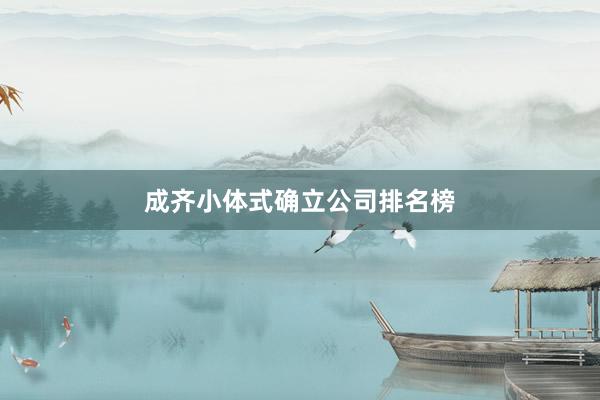 成齐小体式确立公司排名榜