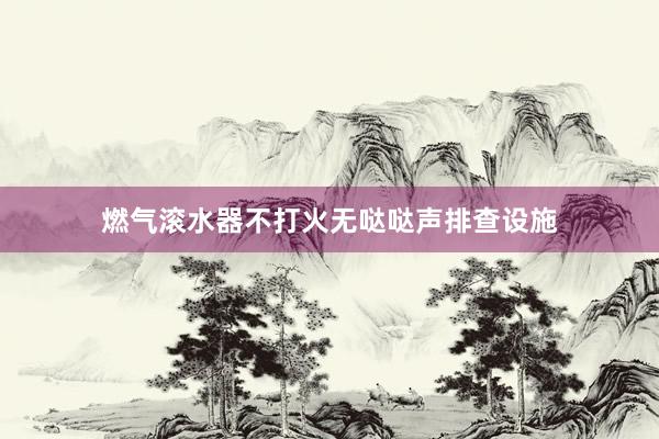 燃气滚水器不打火无哒哒声排查设施