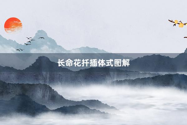 长命花扦插体式图解